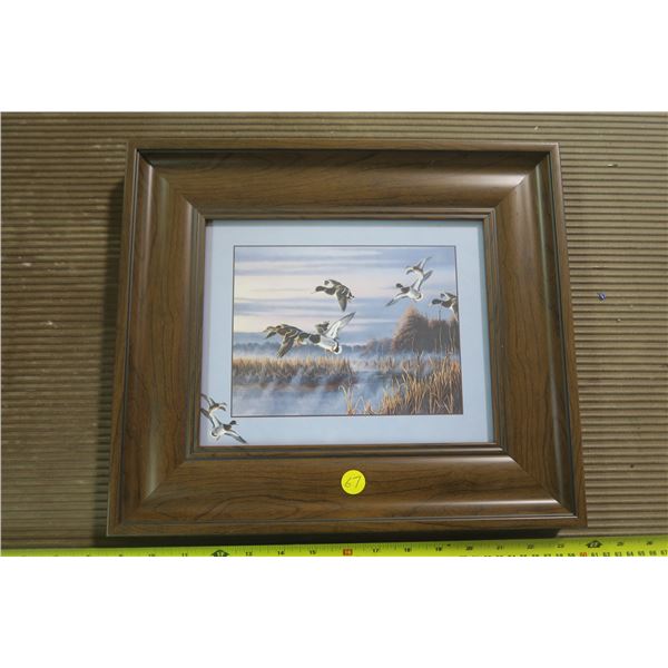 Framed Duck Picture