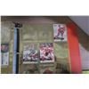 Image 49 : Binder of Hockey Cards