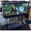 Image 1 : Reptile Habitat w/ Stand, Light, Décor, Under-Tank Heater, Screen Top