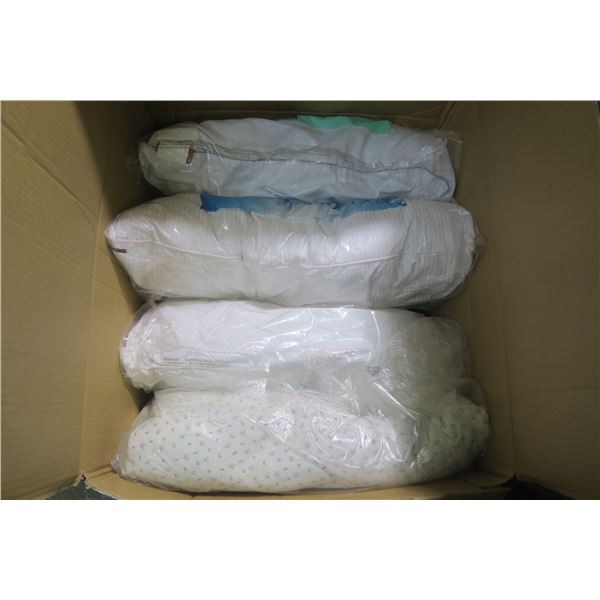 Box of  Pillows & Blanket