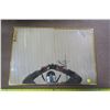 Image 1 : 16 X 23 Mirror