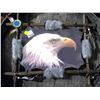 Image 1 : Eagle Picture In Wooden Frame