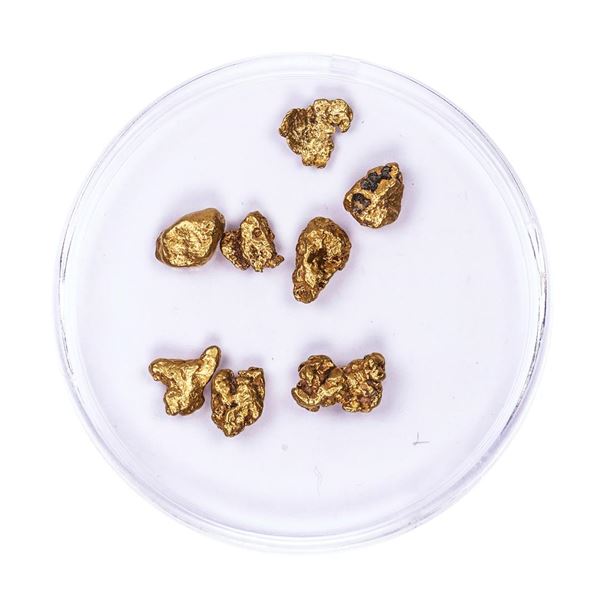 Lot of Gold Nuggets 3.87 grams Total Weight