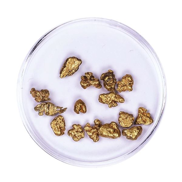 Lot of Gold Nuggets 5.31 grams Total Weight
