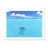 Image 1 : Dan Mackin "Dolphin Trio" Limited Edition Lithograph On Paper