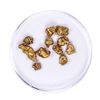 Image 1 : Lot of Gold Nuggets 5.28 grams Total Weight