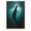 Image 1 : Wyland "The First Breath" Limited Edition Lithograph On Paper