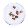 Image 1 : Lot of Gold Nuggets 2.71 grams Total Weight