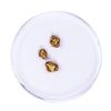 Lot of Gold Nuggets 1.83 grams Total Weight