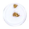 Image 2 : Lot of Gold Nuggets 2.32 Grams Total Weight
