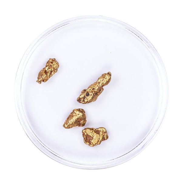 Lot of Gold Nuggets 3.56 grams Total Weight