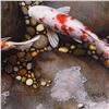 Image 2 : Terry Gilecki, "In Stark Contrast" Limited Edition on Gallery Wrapped Canvas, Numbered 4/95 and Hand