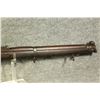 Image 2 : Lee Enfield Wild Tiger
