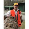 Image 1 : South Carolina Quail Hunt