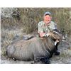 Image 2 : Texas Nilgai Hunt