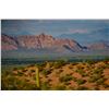 Image 2 : Desert Bighorn Sheep Hunt on the El Chaparral Ranch, Mexico