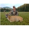 Image 1 : Seven-Day Alaska Sitka Blacktail Deer Hunt