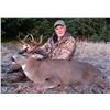 Image 2 : Seven-Day Alaska Sitka Blacktail Deer Hunt