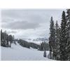Image 2 : 4-Night Telluride, Colorado Get-Away
