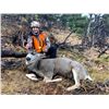 Image 2 : Deer Hunt on the Theodore Roosevelt Memorial (TRM) Ranch