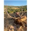 Image 2 : 5-Day New Mexico Elk Hunt