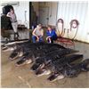 Image 2 : Shoot Your Boots Alligator Hunting Adventure - Two-Day Gator Hunting and Fishing Trip for Two