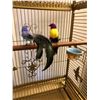Image 3 : From the SCI-FI show approx 5â€™ high bird cage cost $3100