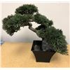 Image 1 : Bonsai Tree artificial