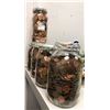 Image 1 : 5 jars of grouped pennies