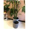 Image 2 : 2 Flower Pots w/One Artifical Plant