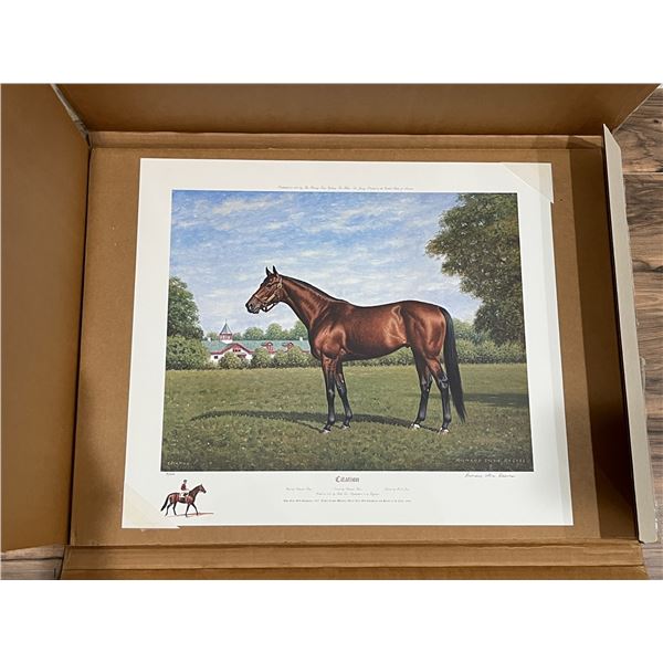 "Citation" by Richard Stone Reeves: Limited  lithograph NEVER FRAMED (#3/600) circa 1980