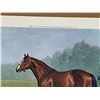Image 5 : "Northern Dancer" by Richard Stone Reeves (1919-2005): NEVER FRAMED Limited edition lithograph (#3/8