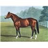 Image 6 : "Northern Dancer" by Richard Stone Reeves (1919-2005): NEVER FRAMED Limited edition lithograph (#3/8