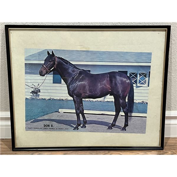 Horse Magazine Page Print in Frame, Don B. Fleet Narsullah, 20x16"
