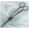 Image 1 : Silverplate.Grape Shears. #2306940