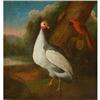 Image 1 : A Guinea Fowl and Cuban Red Macaw   #2325358