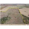 Image 3 : 167 +/- Acres of Dryland and Native Grass