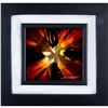 Image 2 : Chris Derubeis Mixed Media on Aluminum, Mini Burst Red