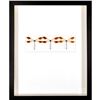 Image 2 : Framed, Christopher Marley, Systemae Trio Vaunted Damselfly
