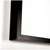 Image 3 : Framed, Christopher Marley, Systemae Trio Vaunted Damselfly