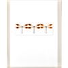 Image 5 : Framed, Christopher Marley, Systemae Trio Vaunted Damselfly