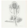 Image 3 : De Simone Pencil Drawing Print, Nude Woman