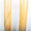 Image 3 : Pair of Architectural Decorative Columns