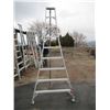 Image 1 : 9' ALUMINUM ORCHARD LADDER