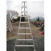 Image 1 : 9' ALUMINUM ORCHARD LADDER