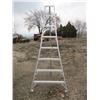 Image 1 : 8' ALUMINUM ORCHARD LADDER