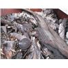 Image 2 : 4 BINS OF APPLE WOOD