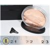 Image 3 : 1 OZ JAWS-MEGALODON COPPER ROUND