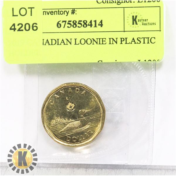 2019 CANADIAN LOONIE IN PLASTIC HOLDER