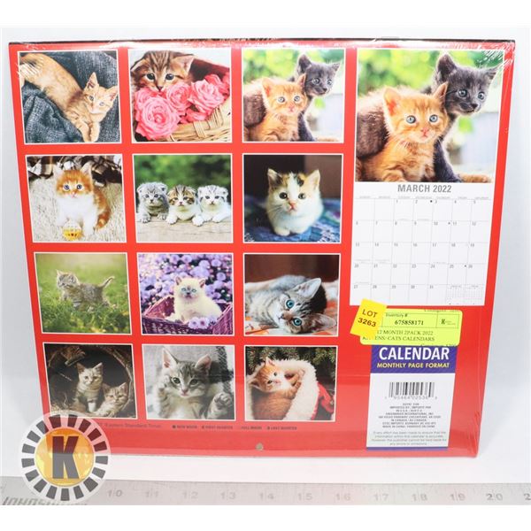 NEW 12 MONTH 2PACK 2022 KITTENS/ CATS CALENDARS